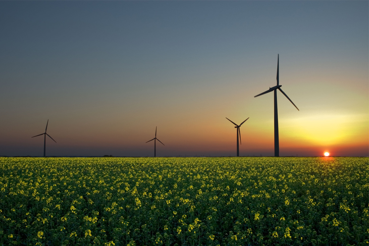 دانمارک، رکورددار جهانی تولید انرژی بادی در سال 2019 می باشد. بر اساس آمار منتشر شده مشخص شد، کشور دانمارک توانسته به خوبی در مسیر خنثی کردن کربن قرار گیرد.