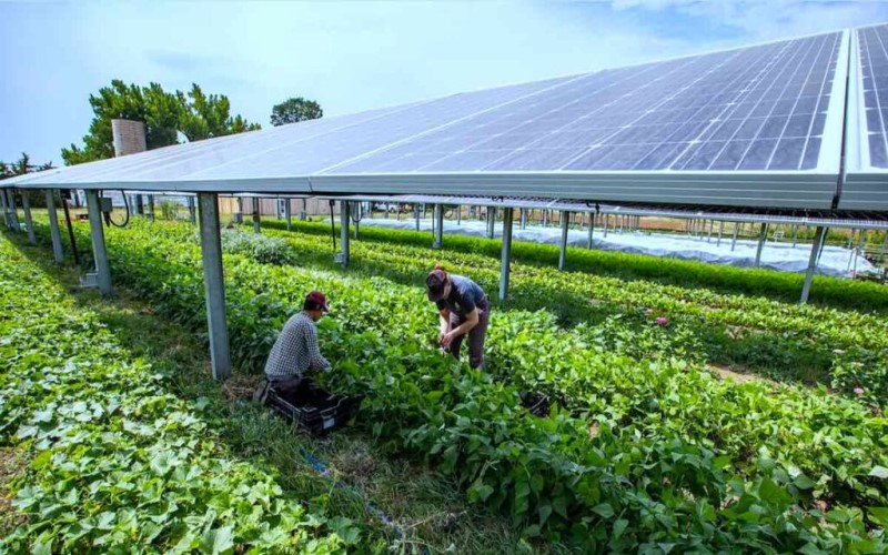 پنل خورشیدی مناسب باغ | ماناسازان 